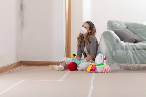 Reliable Mold Remediation contractor in Newport, WA by WQB Mold Removal